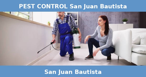 PEST CONTROL San Juan Bautista